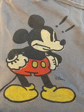 Target Junk Food Clothing Mickey Mouse hoodie